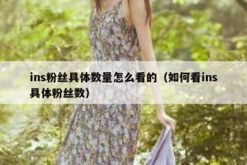 ins粉丝具体数量怎么看的（如何看ins具体粉丝数）