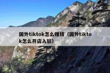 国外tiktok怎么赚钱（国外tiktok怎么开店入驻）