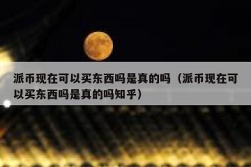 派币现在可以买东西吗是真的吗（派币现在可以买东西吗是真的吗知乎）