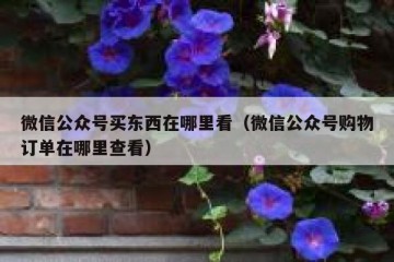 微信公众号买东西在哪里看（微信公众号购物订单在哪里查看）