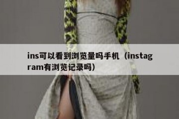 ins可以看到浏览量吗手机（instagram有浏览记录吗）