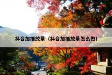 抖音加播放量（抖音加播放量怎么做）