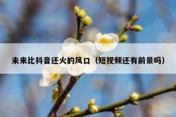未来比抖音还火的风口（短视频还有前景吗）