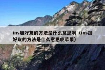 ins加好友的方法是什么意思啊（ins加好友的方法是什么意思啊苹果）