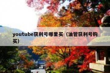 youtube获利号哪里买（油管获利号购买）
