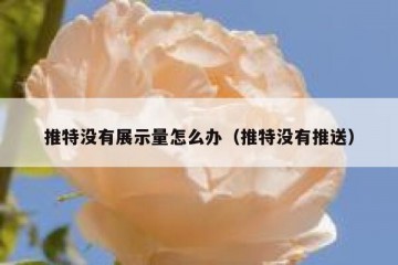 推特没有展示量怎么办（推特没有推送）