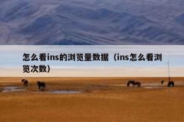 怎么看ins的浏览量数据（ins怎么看浏览次数）