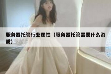 服务器托管行业属性（服务器托管需要什么资质）