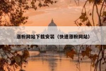 涨粉网站下载安装（快速涨粉网站）