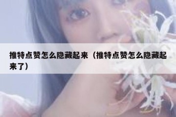 推特点赞怎么隐藏起来（推特点赞怎么隐藏起来了）