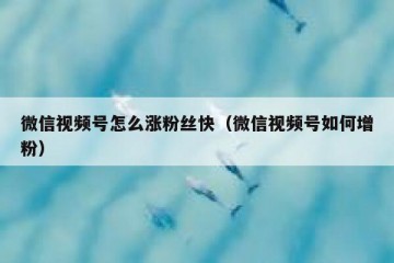 微信视频号怎么涨粉丝快（微信视频号如何增粉）