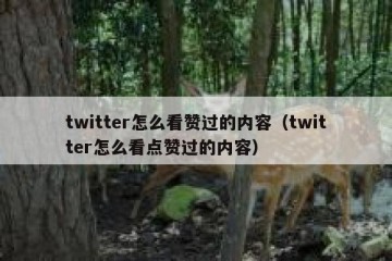 twitter怎么看赞过的内容（twitter怎么看点赞过的内容）