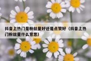 抖音上热门是粉丝量好还是点赞好（抖音上热门粉丝量什么意思）