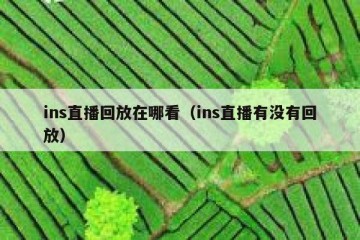 ins直播回放在哪看（ins直播有没有回放）