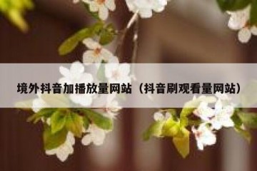 境外抖音加播放量网站（抖音刷观看量网站）