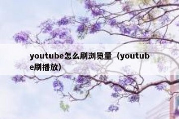 youtube怎么刷浏览量（youtube刷播放）