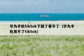 华为手机tiktok下载了看不了（华为手机用不了tiktok）