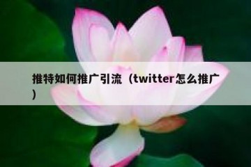 推特如何推广引流（twitter怎么推广）