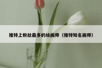 推特上粉丝最多的绘画师（推特知名画师）