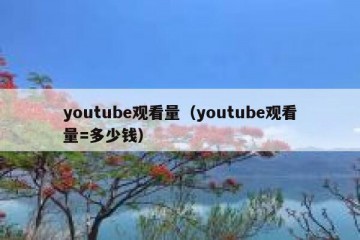 youtube观看量（youtube观看量=多少钱）
