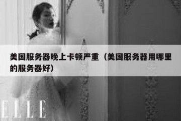 美国服务器晚上卡顿严重（美国服务器用哪里的服务器好）
