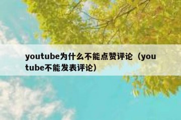 youtube为什么不能点赞评论（youtube不能发表评论）