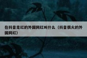 在抖音走红的外国网红叫什么（抖音很火的外国网红）