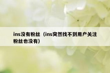 ins没有粉丝（ins突然找不到用户关注粉丝也没有）
