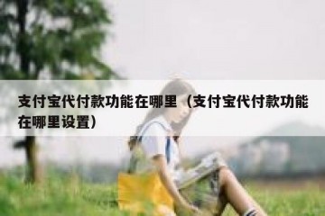 支付宝代付款功能在哪里（支付宝代付款功能在哪里设置）