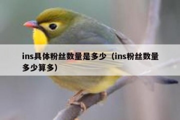 ins具体粉丝数量是多少（ins粉丝数量多少算多）