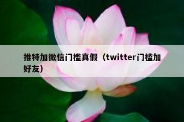 推特加微信门槛真假（twitter门槛加好友）