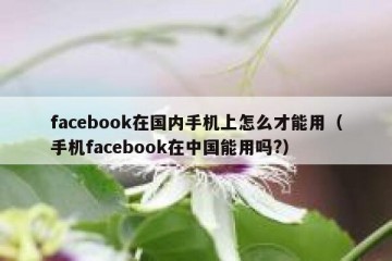 facebook在国内手机上怎么才能用（手机facebook在中国能用吗?）
