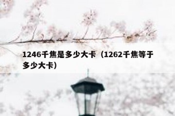 1246千焦是多少大卡（1262千焦等于多少大卡）