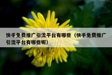 快手免费推广引流平台有哪些（快手免费推广引流平台有哪些呢）
