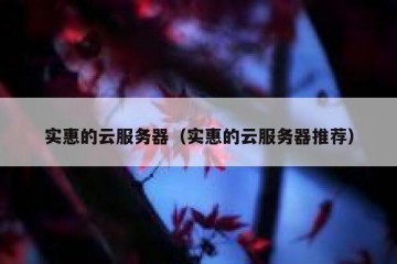 实惠的云服务器（实惠的云服务器推荐）