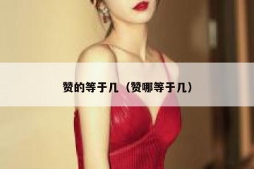 赞的等于几（赞哪等于几）