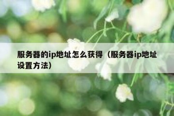 服务器的ip地址怎么获得（服务器ip地址设置方法）