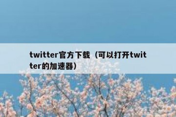 twitter官方下载（可以打开twitter的加速器）