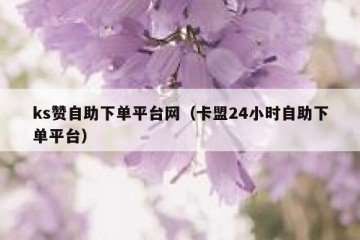 ks赞自助下单平台网（卡盟24小时自助下单平台）