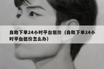 自助下单24小时平台低价（自助下单24小时平台低价怎么办）