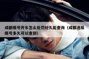 成都限号开车怎么处罚好久能查询（成都违反限号多久可以查到）
