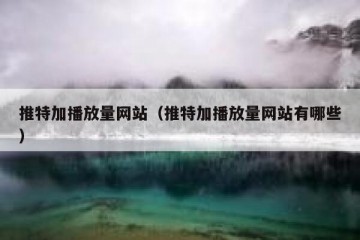 推特加播放量网站（推特加播放量网站有哪些）