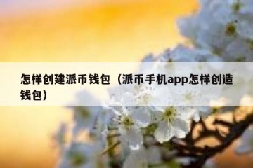 怎样创建派币钱包（派币手机app怎样创造钱包）