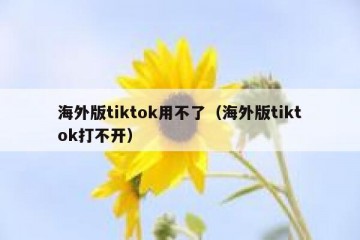 海外版tiktok用不了（海外版tiktok打不开）