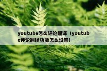 youtube怎么评论翻译（youtube评论翻译功能怎么设置）