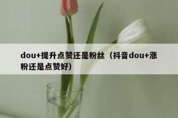 dou+提升点赞还是粉丝（抖音dou+涨粉还是点赞好）
