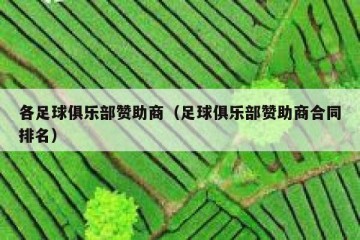 各足球俱乐部赞助商（足球俱乐部赞助商合同排名）