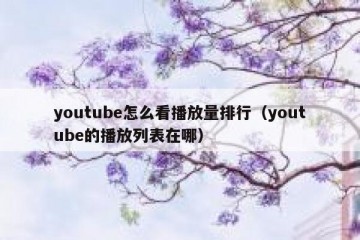 youtube怎么看播放量排行（youtube的播放列表在哪）