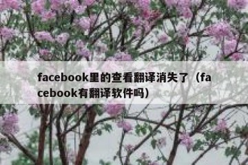 facebook里的查看翻译消失了（facebook有翻译软件吗）