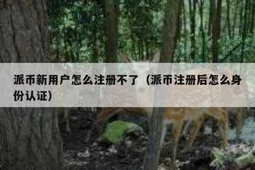 派币新用户怎么注册不了（派币注册后怎么身份认证）
